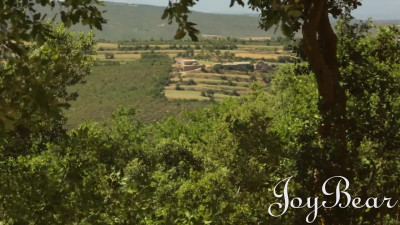 JoyBear The Guesthouse Julia De Lucia The Journey PP